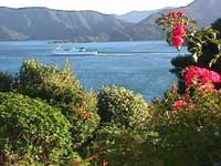 pretty picture